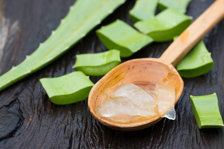 to aloe or not to aloe that is the question 63af3dd95f633